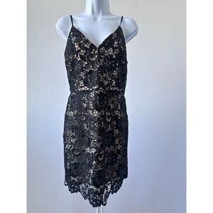 Express Dress Black Battenberg Lace Illusion Dress, Sz 6 (b53)